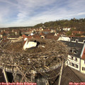 12_05-nest.jpg