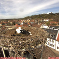 13_05-nest.jpg