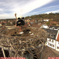 13_25-nest.jpg