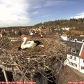 14_10-nest.jpg