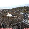 08_00-nest.jpg