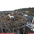 09_40-nest.jpg