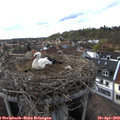 17_45-nest.jpg