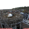 19_35-nest.jpg