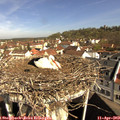 10_05-nest.jpg