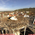 10_10-nest.jpg