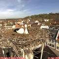 10_35-nest.jpg