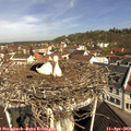 10_40-nest.jpg