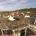 11_00-nest.jpg