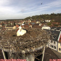 11_25-nest.jpg