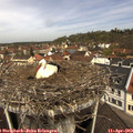11_30-nest.jpg
