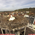 11_45-nest.jpg