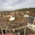 12_00-nest.jpg