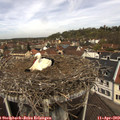 12_05-nest.jpg