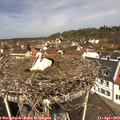 12_15-nest.jpg