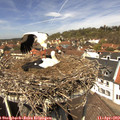 13_00-nest.jpg