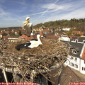 13_05-nest.jpg
