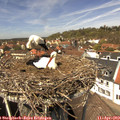 13_25-nest.jpg