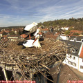 13_40-nest.jpg