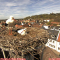 14_15-nest.jpg