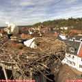 14_20-nest.jpg
