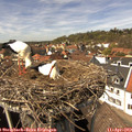 14_25-nest.jpg