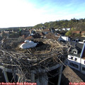 18_15-nest.jpg