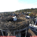 18_35-nest.jpg