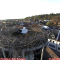 19_10-nest.jpg
