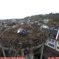 11_05-nest.jpg