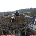 07_00-nest.jpg