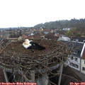 07_05-nest.jpg
