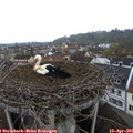 07_25-nest.jpg