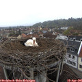 08_45-nest.jpg