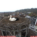 09_45-nest.jpg