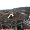 10_05-nest.jpg