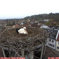 11_00-nest.jpg