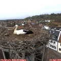 15_05-nest.jpg