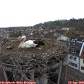 18_20-nest.jpg