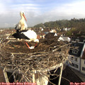 08_45-nest.jpg