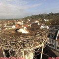 09_30-nest.jpg