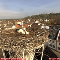09_40-nest.jpg