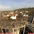 09_45-nest.jpg