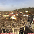 10_05-nest.jpg