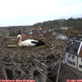 18_10-nest.jpg