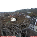 07_00-nest.jpg