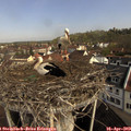 10_05-nest.jpg