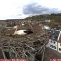 13_55-nest.jpg