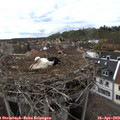 17_00-nest.jpg