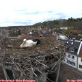 17_05-nest.jpg